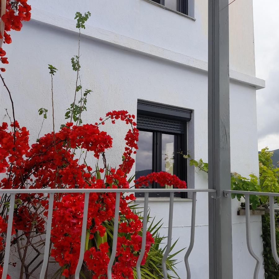 Kastro Studios Skopelos Exteriér fotografie