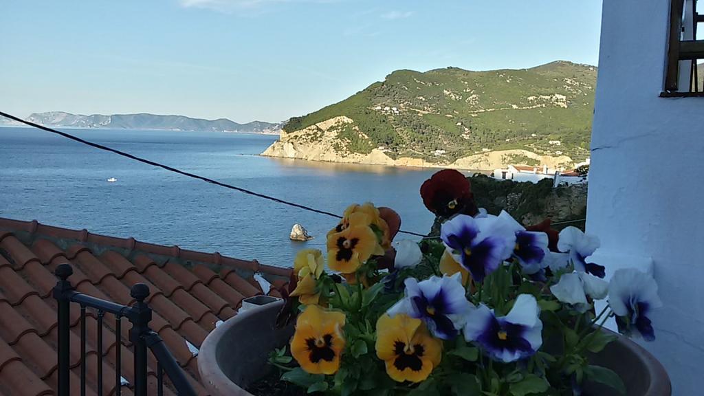 Kastro Studios Skopelos Exteriér fotografie